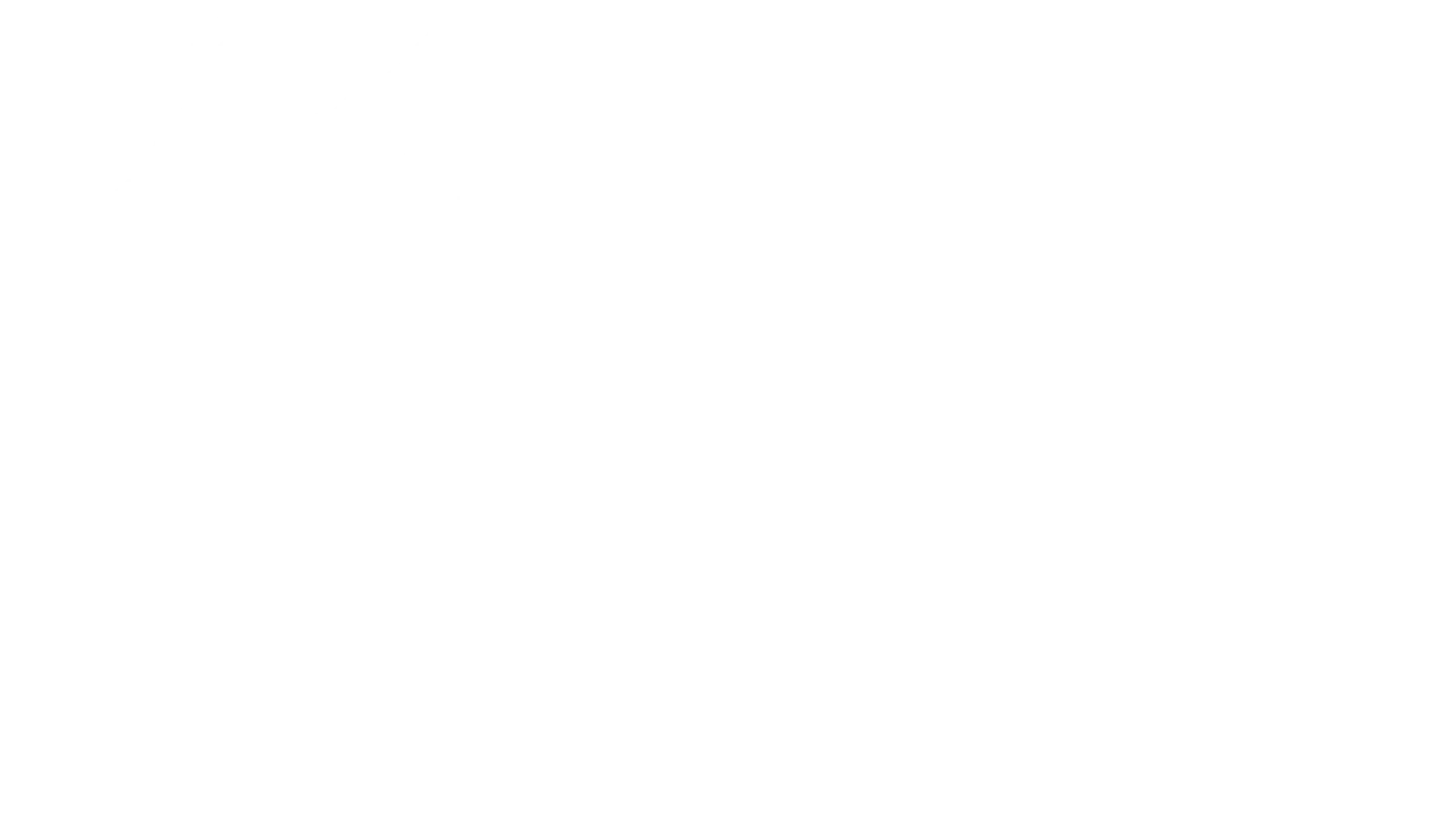 a logo for the National Trial Lawyers Top 100
